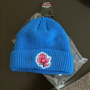 Rachel Pohl Blue Paintbrush Beanie